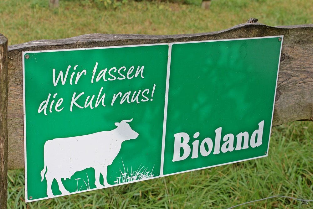 Bloggerevent, Söbbeke, Landpartie, Ausflug, Kühe, Milch, Bioland