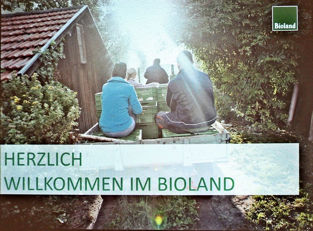 Bloggerevent, Söbbeke, Landpartie, Ausflug, Kühe, Milch, Bioland